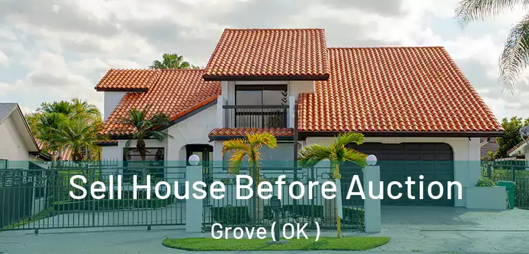 Sell House Before Auction Grove ( OK )
