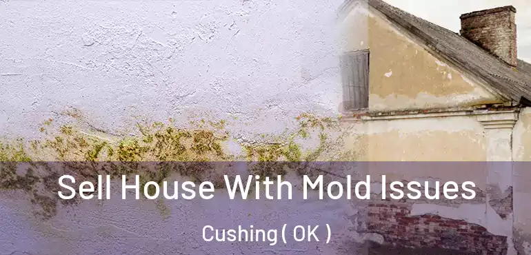 Sell House With Mold Issues Cushing ( OK )