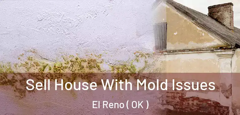 Sell House With Mold Issues El Reno ( OK )