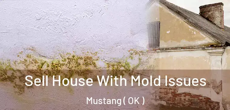 Sell House With Mold Issues Mustang ( OK )