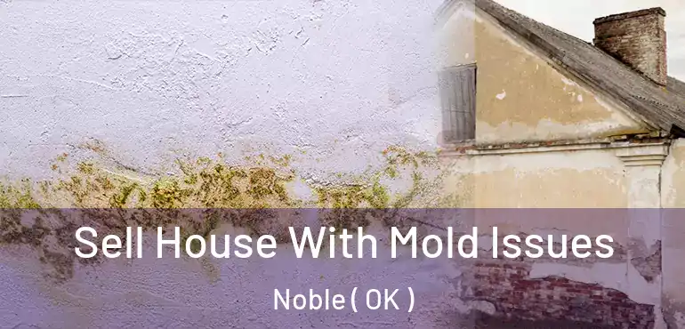 Sell House With Mold Issues Noble ( OK )
