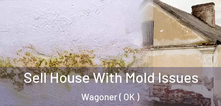 Sell House With Mold Issues Wagoner ( OK )